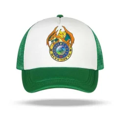 Pkm.store Sommer-Pikachu Pokemon Baseball Mützen In Vielen Motiven Fur Kinder Oder Erwachsene