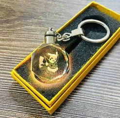 Pkm.store Sonstiges Merchandise-Pokemon Go Leuchtende Anhanger In Vielen Motiven - Keychain